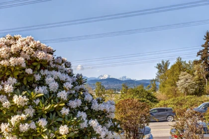 Neighborhood Park Photo Near 1 34332 Maclure Road, Abbotsford, BC