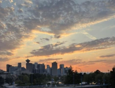 429 289 Alexander Street, Vancouver, BC