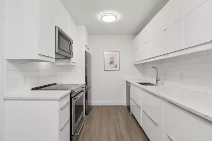 303 236 W 2nd Street, North Vancouver, BC, North vancouver — Apartment/Condo for sale