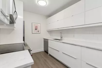 303 236 W 2nd Street, North Vancouver, BC, North vancouver — Apartment/Condo for sale