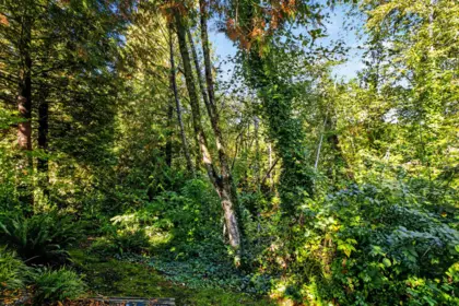 Outdoor Deck Photo of 11 22751 Haney Bypass, Maple Ridge, BC