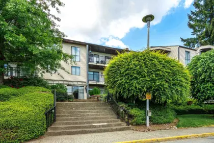 203 9952 149 Street, Surrey, BC, Surrey — Apartment/Condo for sale