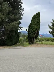 13993 116 Ave Avenue, Surrey, BC, Surrey — Land for sale