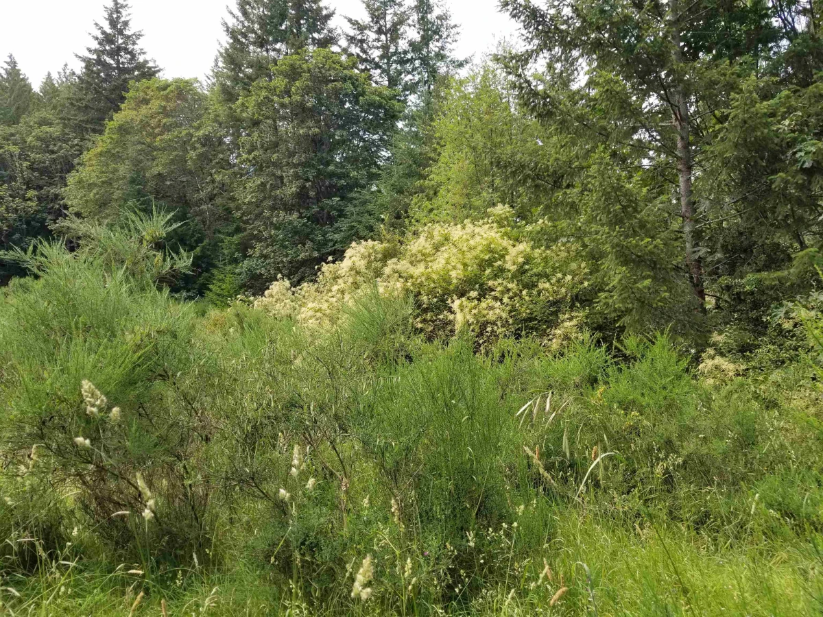 Exterior Rear Photo of LOT A Lord Road, Galiano Island, BC