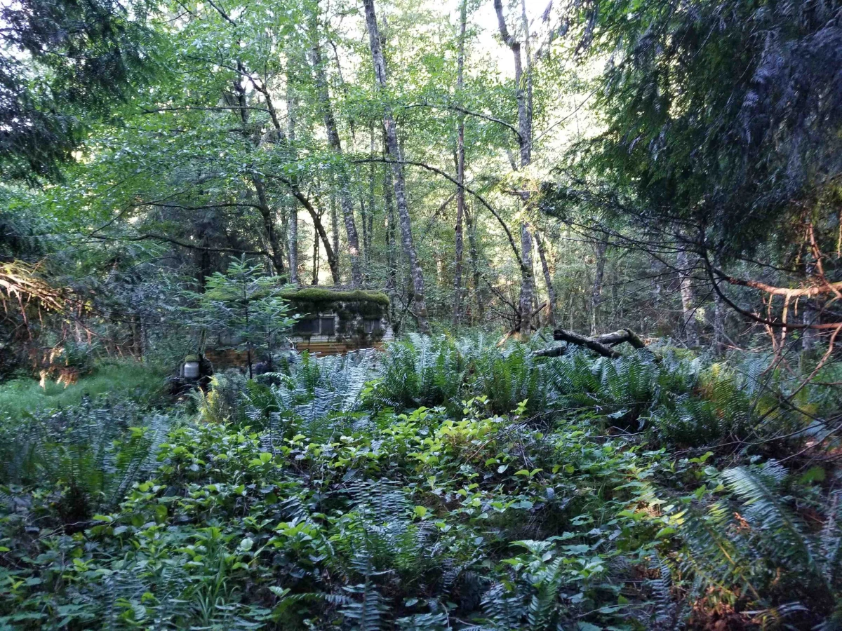 Family Room Photo of LOT A Lord Road, Galiano Island, BC