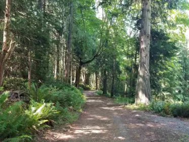 LOT A Lord Road, Galiano Island, BC, Galiano Island — Land for sale