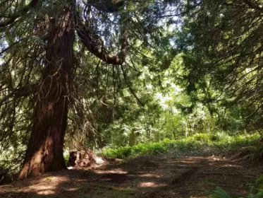 LOT A Lord Road, Galiano Island, BC, Galiano Island — Land for sale