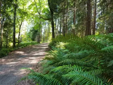 Office / Den Photo of LOT A Lord Road, Galiano Island, BC