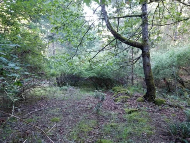 Pantry Photo of LOT A Lord Road, Galiano Island, BC