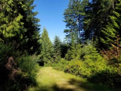 LOT A Lord Road, Galiano Island, BC