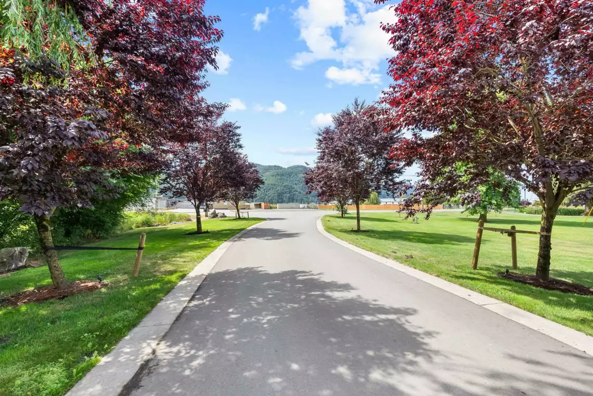 Kitchen Photo of 49517 Prairie Central Road, Chilliwack, BC