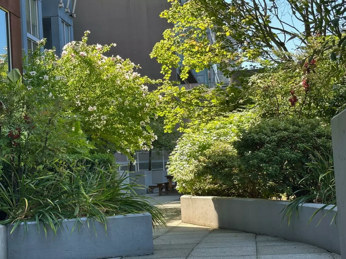 Loft / Bonus Room Photo of 217 933 Seymour Street, Vancouver, BC