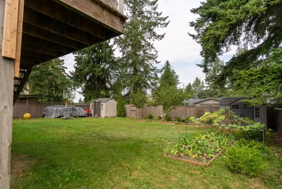 Aerial View of 14075 110a Avenue, Surrey, BC