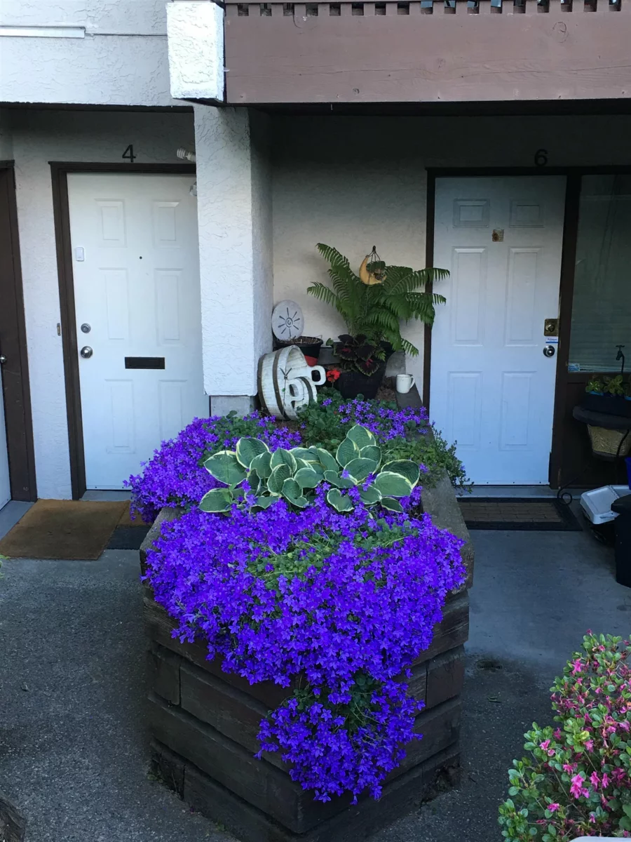 Neighborhood Park Photo Near 6 340 Ginger Drive, New Westminster, BC