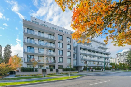 303 6859 Cambie Street, Vancouver, BC