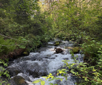 DL 2401 Sucker Lake Road, Birken, BC, Birken — Land for sale