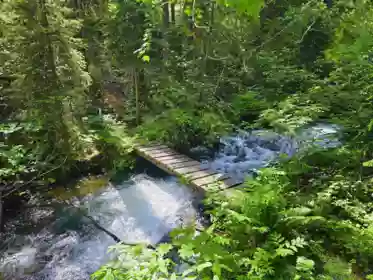 DL 2401 Sucker Lake Road, Birken, BC, Birken — Land for sale