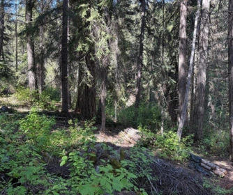 DL 2401 Sucker Lake Road, Birken, BC, Birken — Land for sale