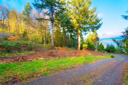 Family Room Photo of 230 Moonwinks Drive, Bowen Island, BC