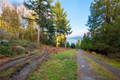 Living Room Photo of 230 Moonwinks Drive, Bowen Island, BC
