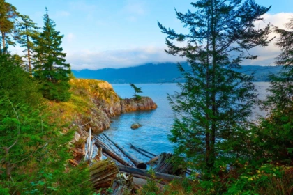 Pantry Photo of 230 Moonwinks Drive, Bowen Island, BC
