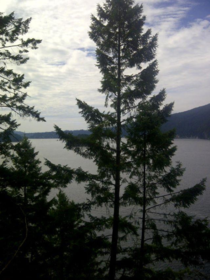 Loft / Bonus Room Photo of 3 Indian Arm, Port Moody, BC