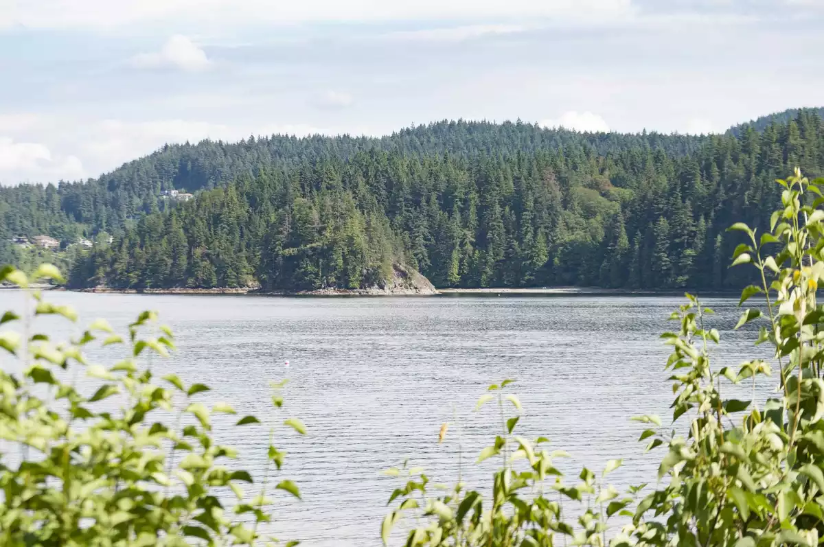 Living Room Photo of 5293 Indian River Drive, North Vancouver, BC