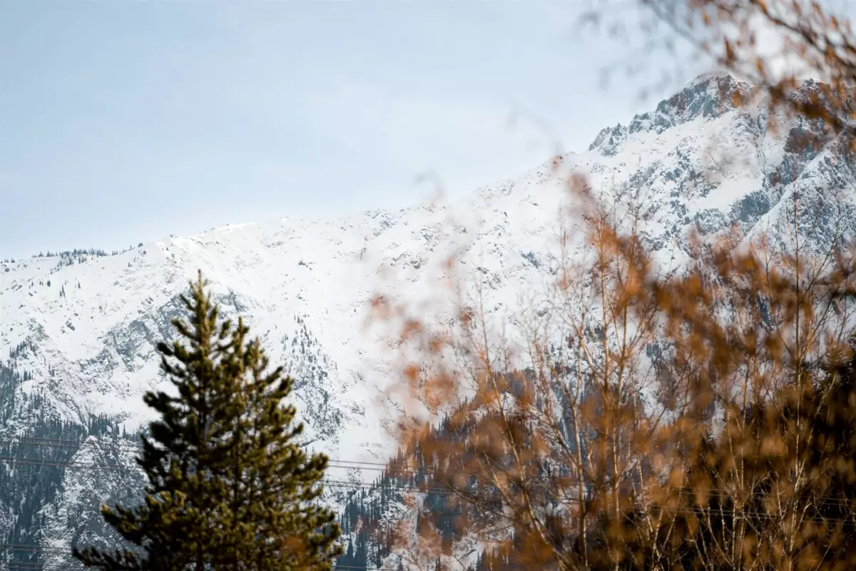 Backyard Photo of 101 1490 Highway 99, Pemberton, BC