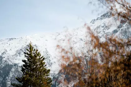 Backyard Photo of 101 1490 Highway 99, Pemberton, BC