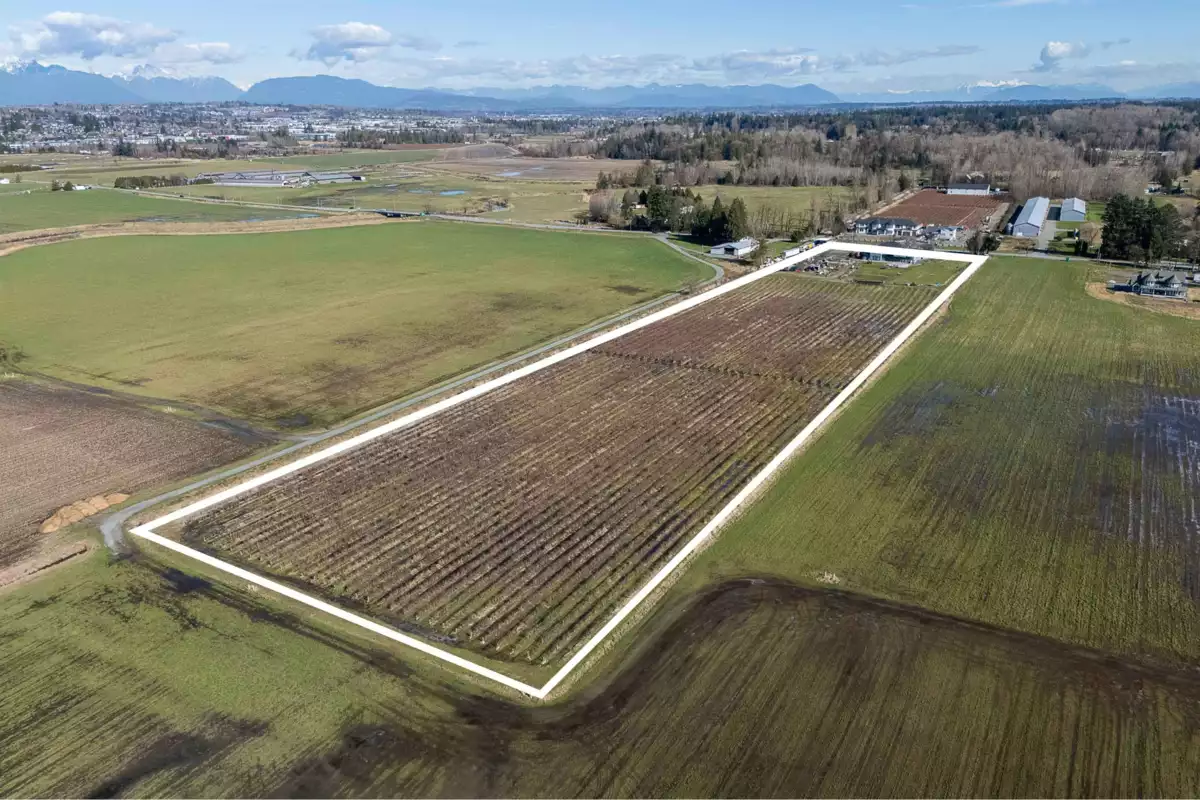 Outdoor Kitchen Photo of 4371 184 Street, Surrey, BC