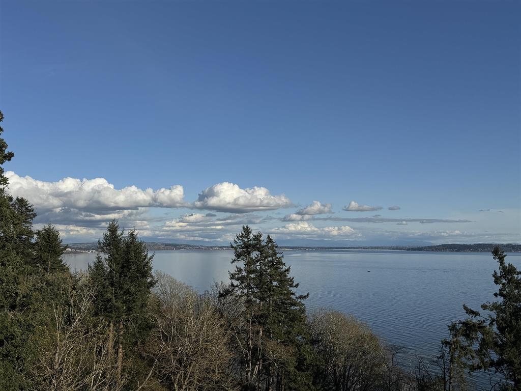 Outdoor Kitchen Photo of 13026 13 Avenue, Surrey, BC