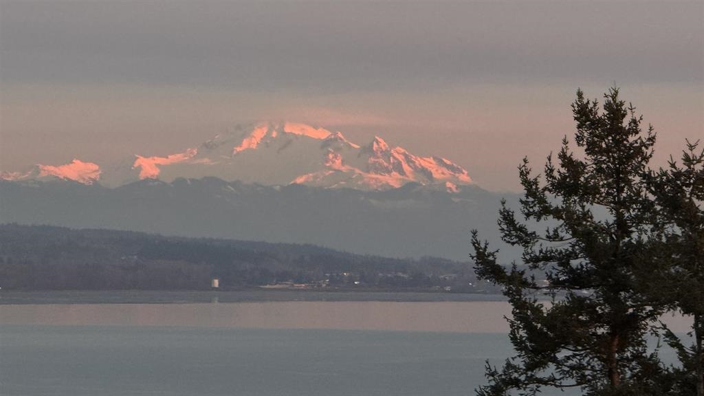 Outdoor Patio Photo of 13026 13 Avenue, Surrey, BC