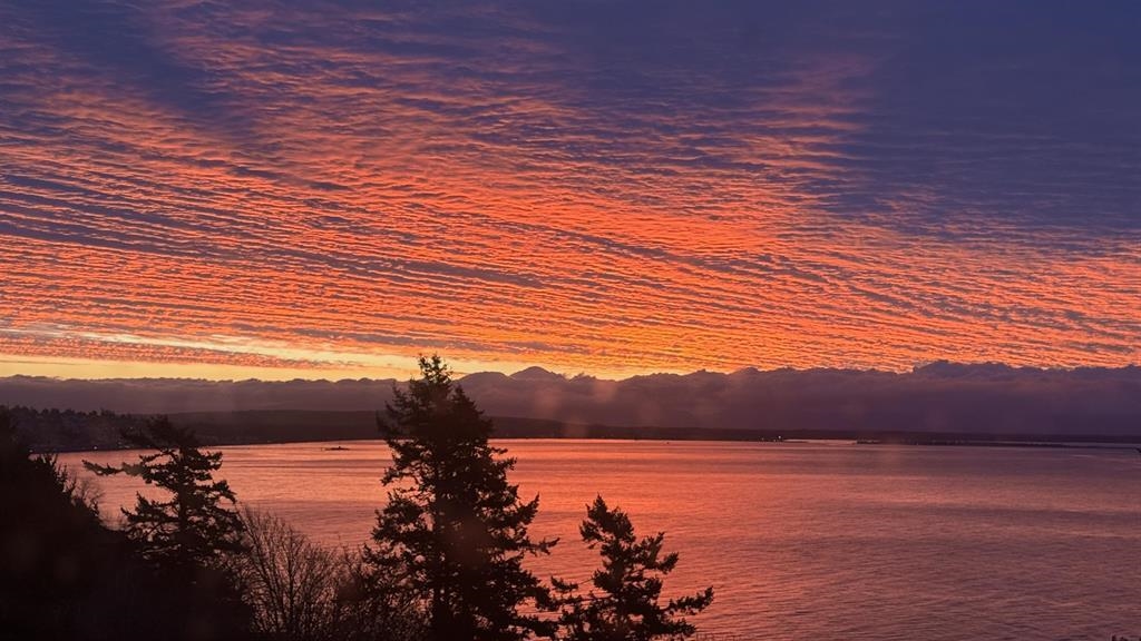 Street View Photo of 13026 13 Avenue, Surrey, BC