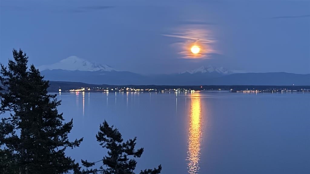 Swimming Pool Photo of 13026 13 Avenue, Surrey, BC