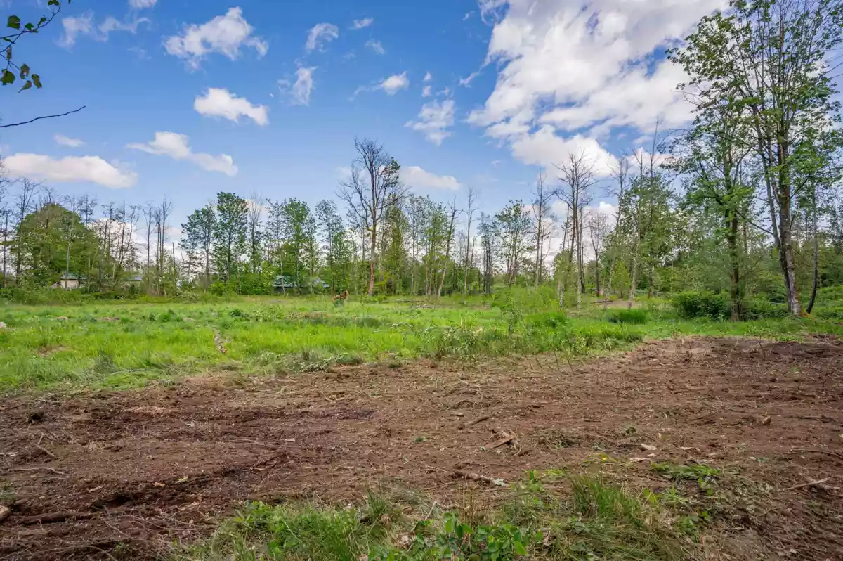 Entry Foyer Photo of 26714 52 Avenue, Langley, BC