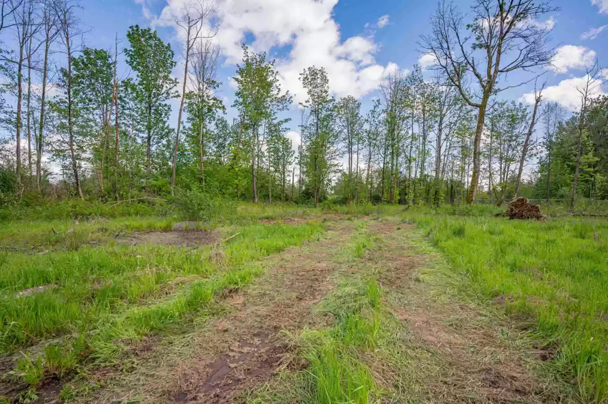 Outdoor Patio Photo of 26714 52 Avenue, Langley, BC