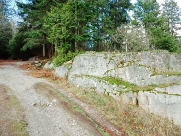Exterior Rear Photo of 6151 Harbour Way, Sechelt, BC