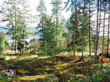 Family Room Photo of 6151 Harbour Way, Sechelt, BC