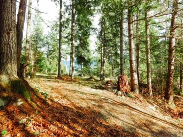 Pantry Photo of 6151 Harbour Way, Sechelt, BC