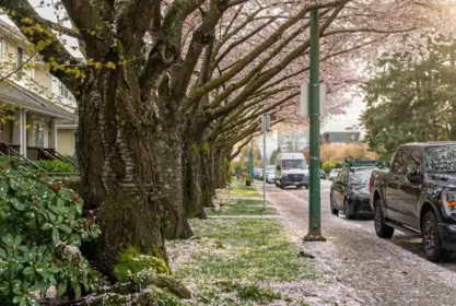 Neighborhood Park Photo Near 261 E 4th Street, North Vancouver, BC