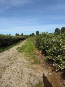 8573 S River Road, Mission, BC, Mission — Land for sale