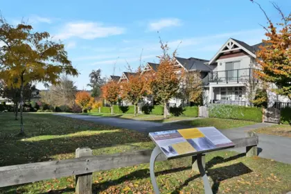 Backyard Photo of 15 7198 179 Street, Surrey, BC