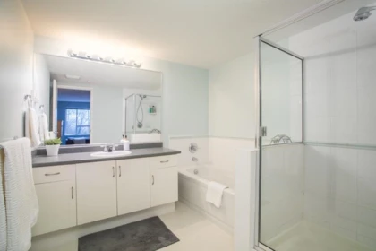 Powder Room Photo of 113 3099 Terravista Place, Port Moody, BC