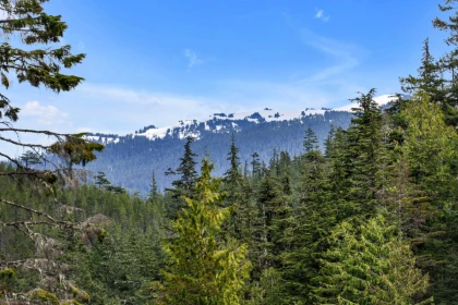 Playground / Recreational Area Near Block E Levette Lake, Squamish, BC