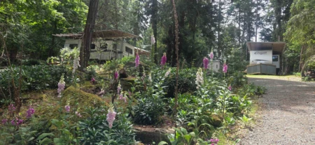 Neighborhood Park Photo Near 240 Mariners Way, Mayne Island, BC