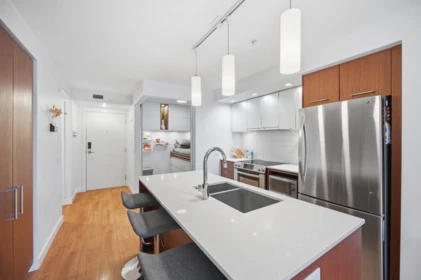 209 221 E 3rd Street, North Vancouver, BC, North Vancouver — Apartment/Condo for sale
