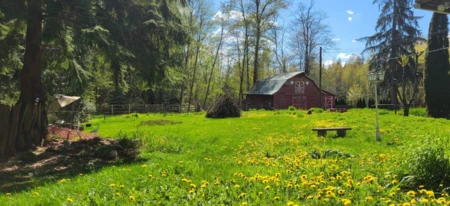 Backyard Photo of 27810 110 Avenue, Maple Ridge, BC