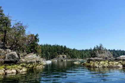 Backyard Photo of LOT 1 South Thormanby Island, Halfmoon Bay, BC