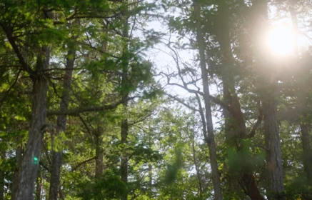 Hot Tub / Spa Photo of LOT 1 South Thormanby Island, Halfmoon Bay, BC
