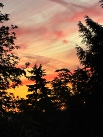 Neighborhood Park Photo Near 9669 Townline Diversion, Surrey, BC